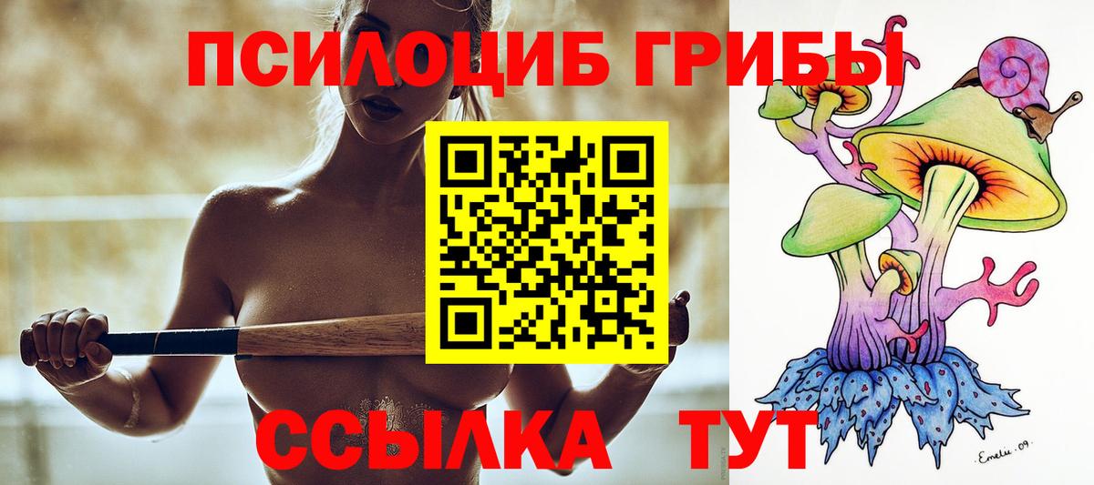 Галлюциногенные грибы Psilocybe Лысьва